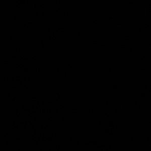 Meet your Posher, Sabby